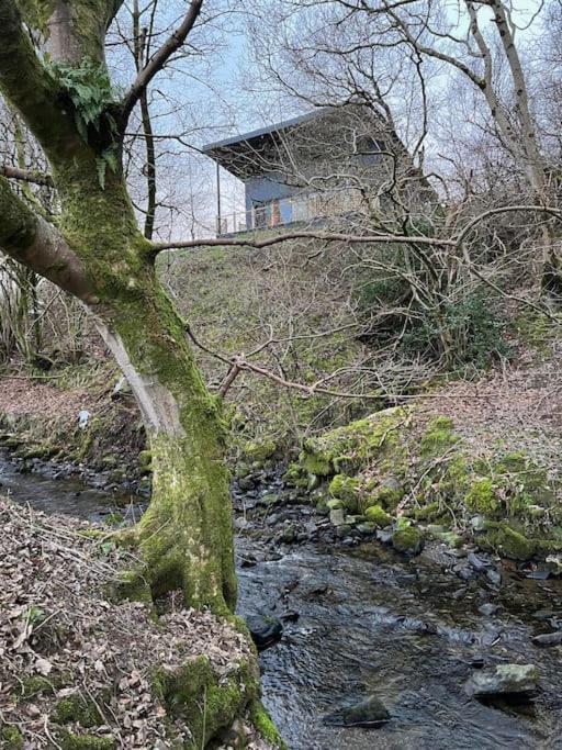 Luxury Lodge In The Treetops Llanbrynmair Екстер'єр фото